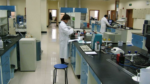 江蘇世通儀器檢測(cè)服務(wù)在飼料添加劑生產(chǎn)中的關(guān)鍵作用